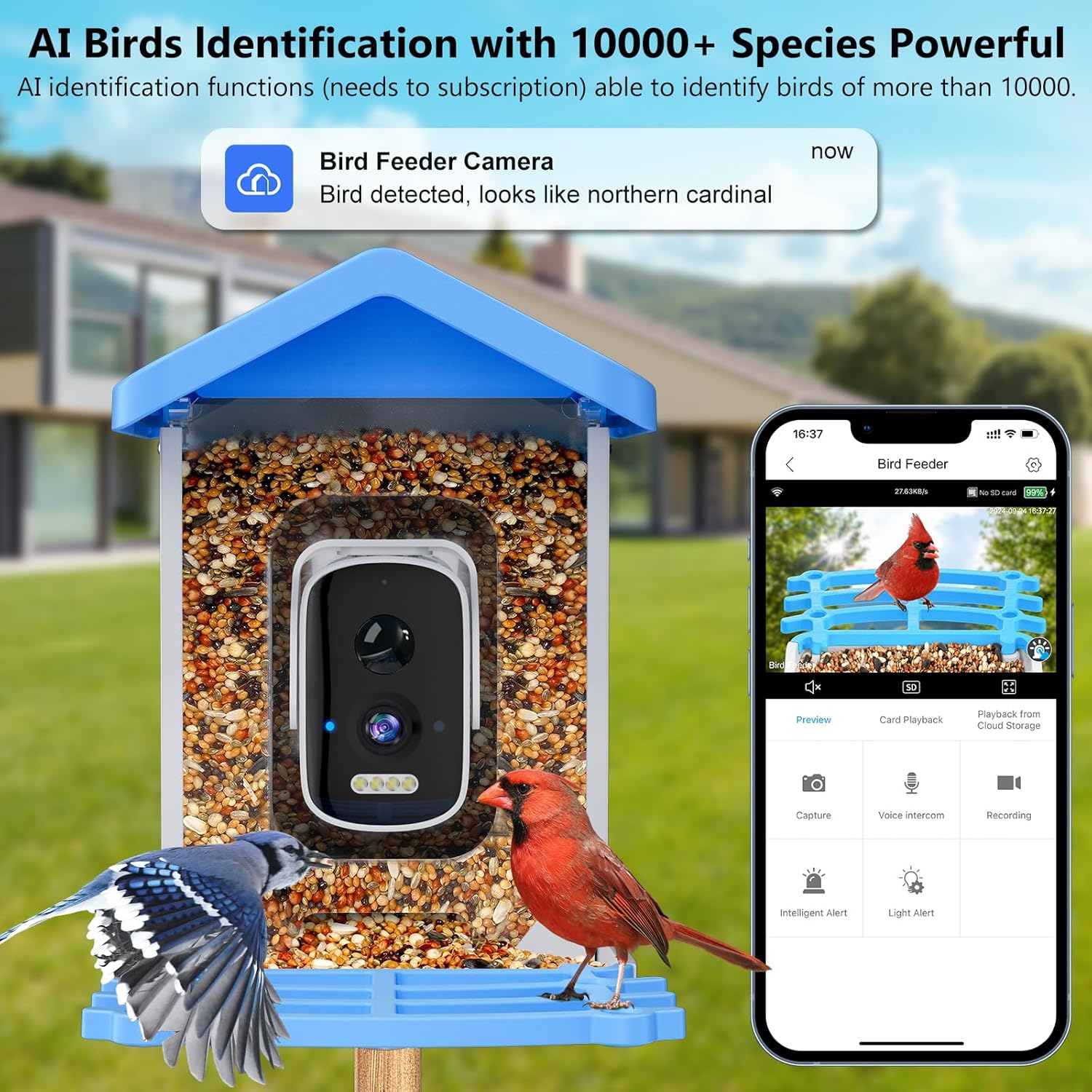 Smart Garden Ai - Pengumpan Burung Pintar dengan Kamera AI