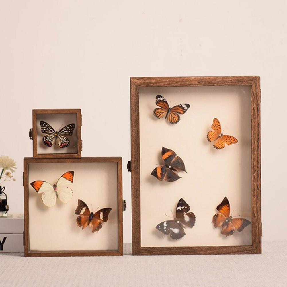 Insect Hotel Wood - Casing Display kayu kupu-kupu Shadow kotak