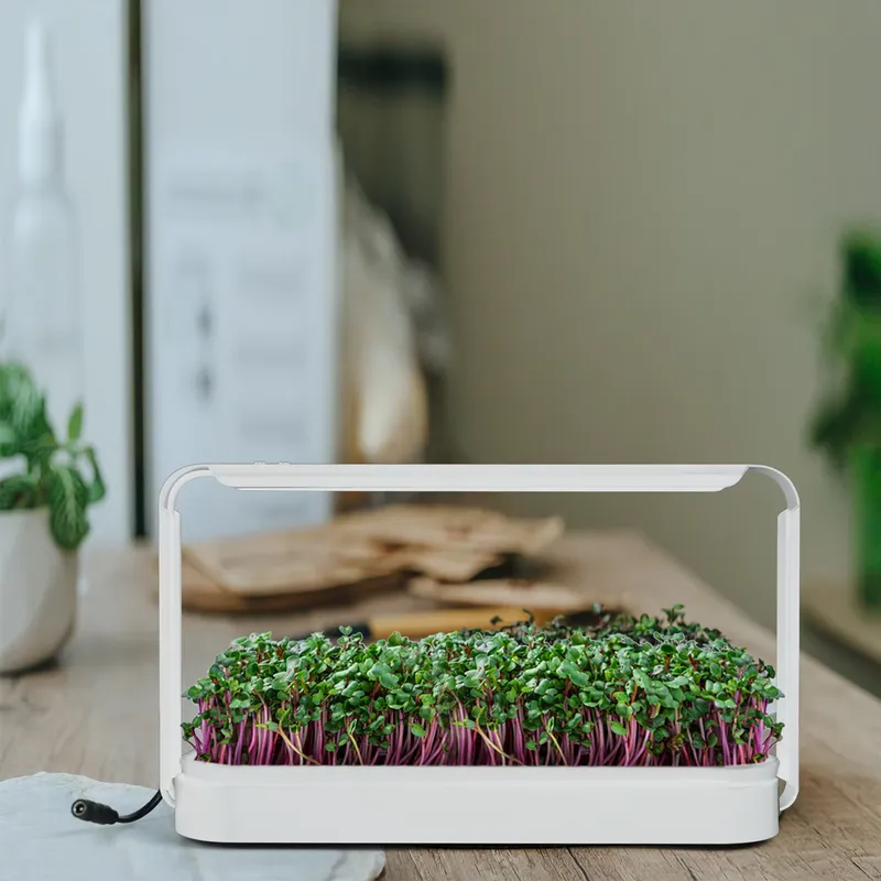 Smart Garden Ideas - Kit Rumah Kaca Tanaman Herbal Dalam
