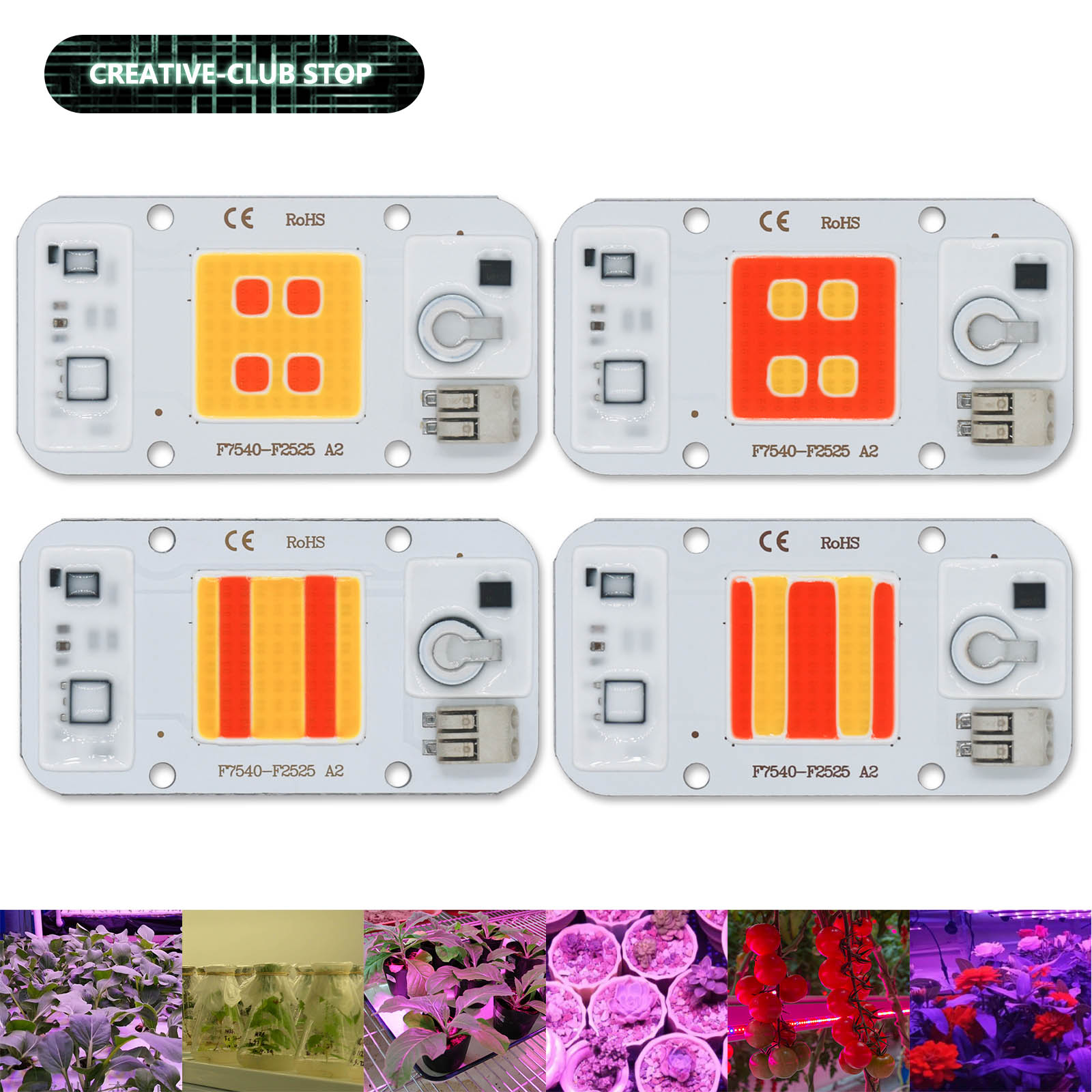 Plant Grow Light Full Spectrum - 50W LED CIP COB pengelasan Gratis