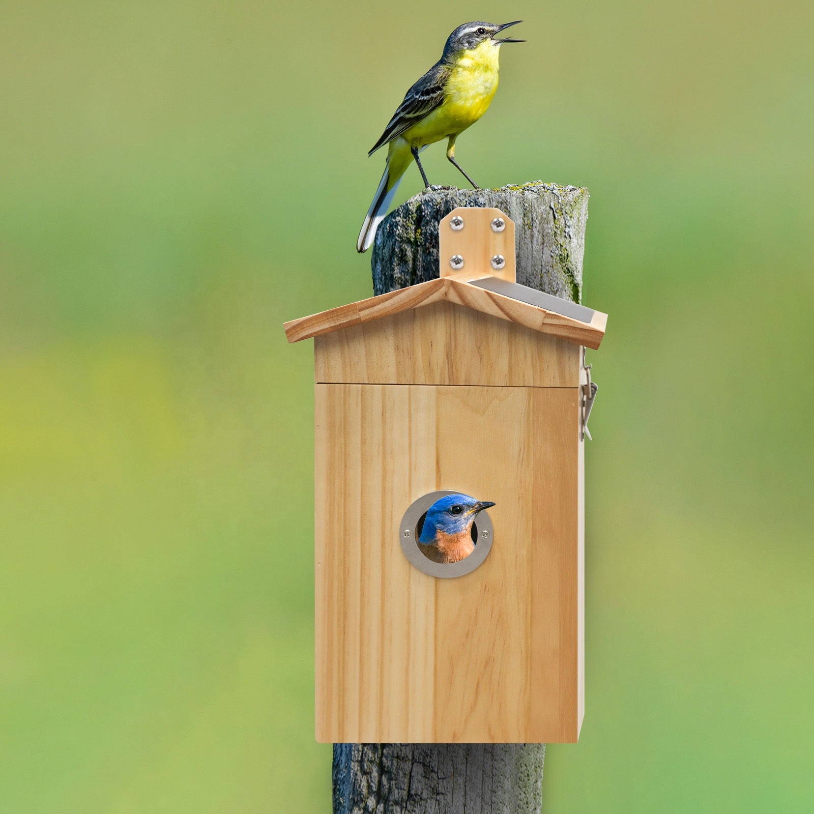 Smart Garden Ai - Sangkar Burung Kayu Nanxin Laris Manis,
