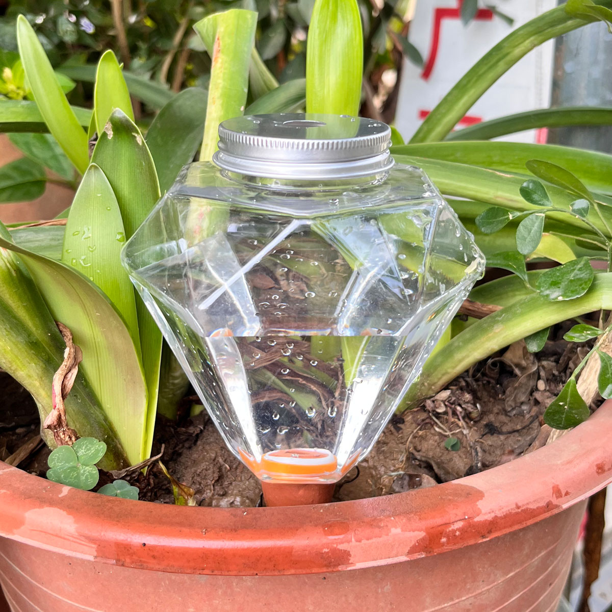 Plant Watering Globe - 1 Buah Mesin Penyiram Plastik Lucu,