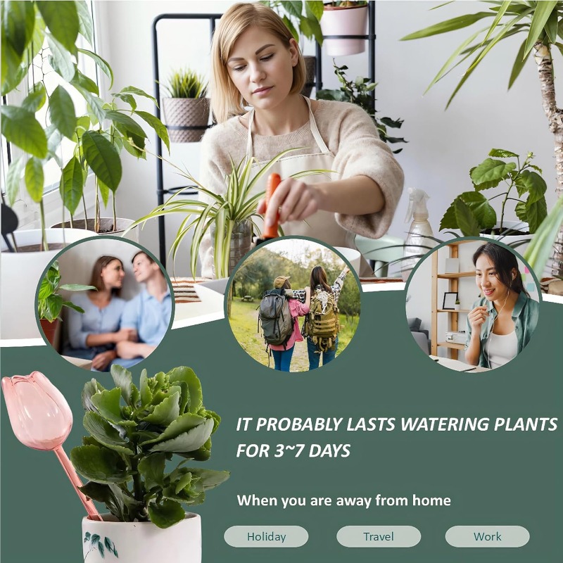 Bola Penyiram Tanaman Tulip Me - Plant Watering Globe ulasan dan harga