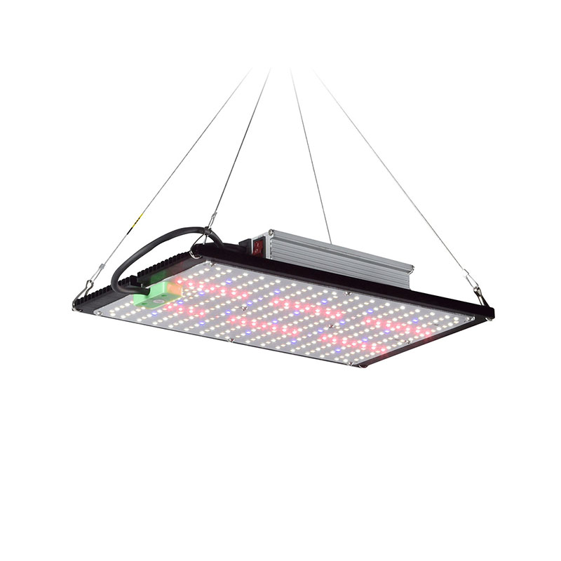 Lampu LED Quantum-Board untuk  - Plant Grow Light Full Spectrum ulasan dan harga