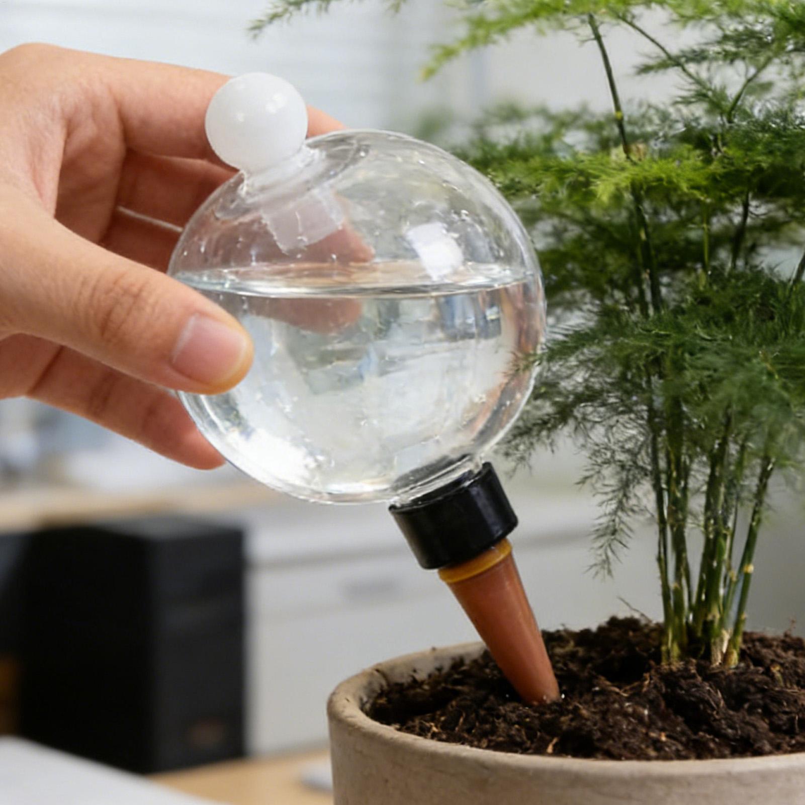 Bola Penyiram Tanaman 4pcs 500 - Plant Watering Globe ulasan dan harga