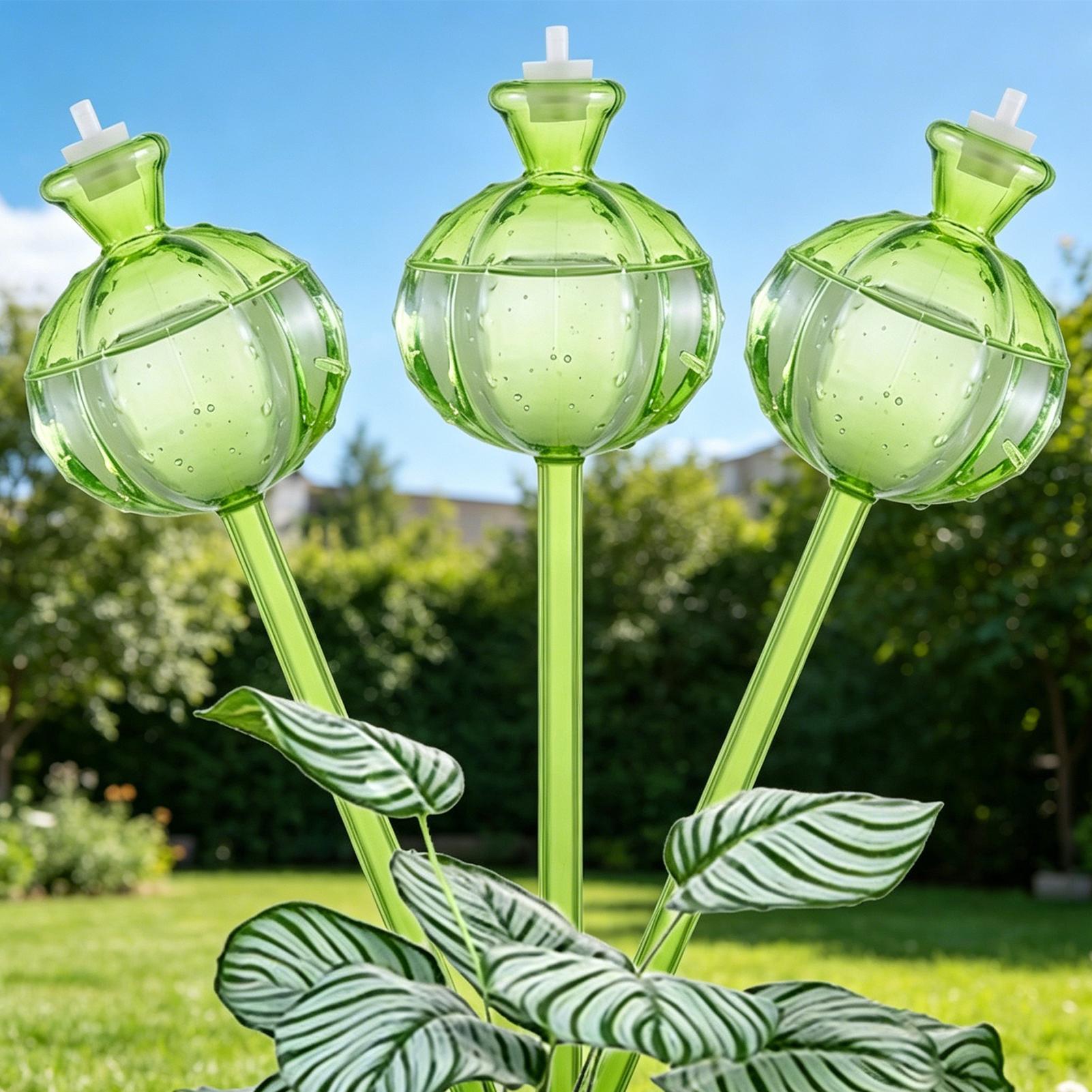 Bola Penyiram Otomatis 3 Buah, - Plant Watering Globe ulasan dan harga