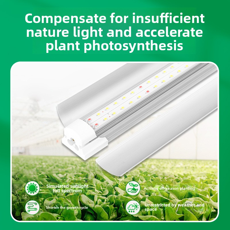Lampu Suplemen Tanaman Hijau D - Plant Grow Light Full Spectrum ulasan dan harga