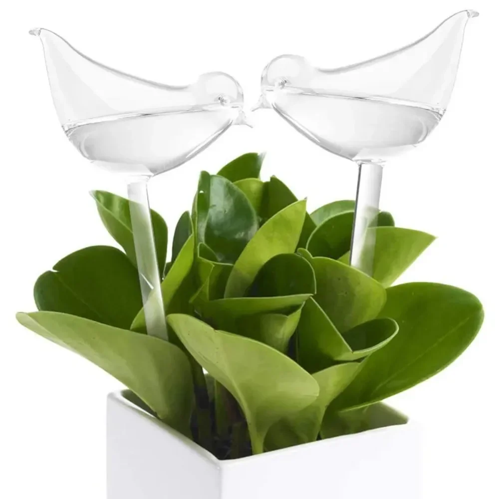 Alat penyiram bunga bentuk bur - Plant Watering Globe ulasan dan harga