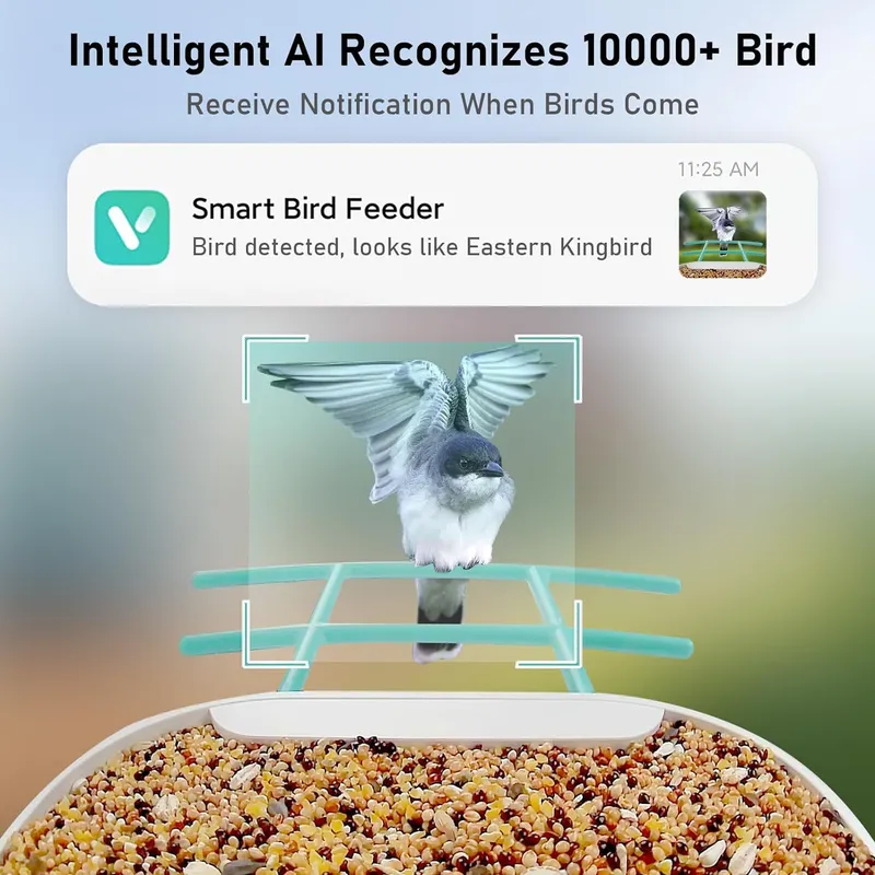Kamera Pemantau Burung Pintar  - Smart Garden Ai ulasan dan harga