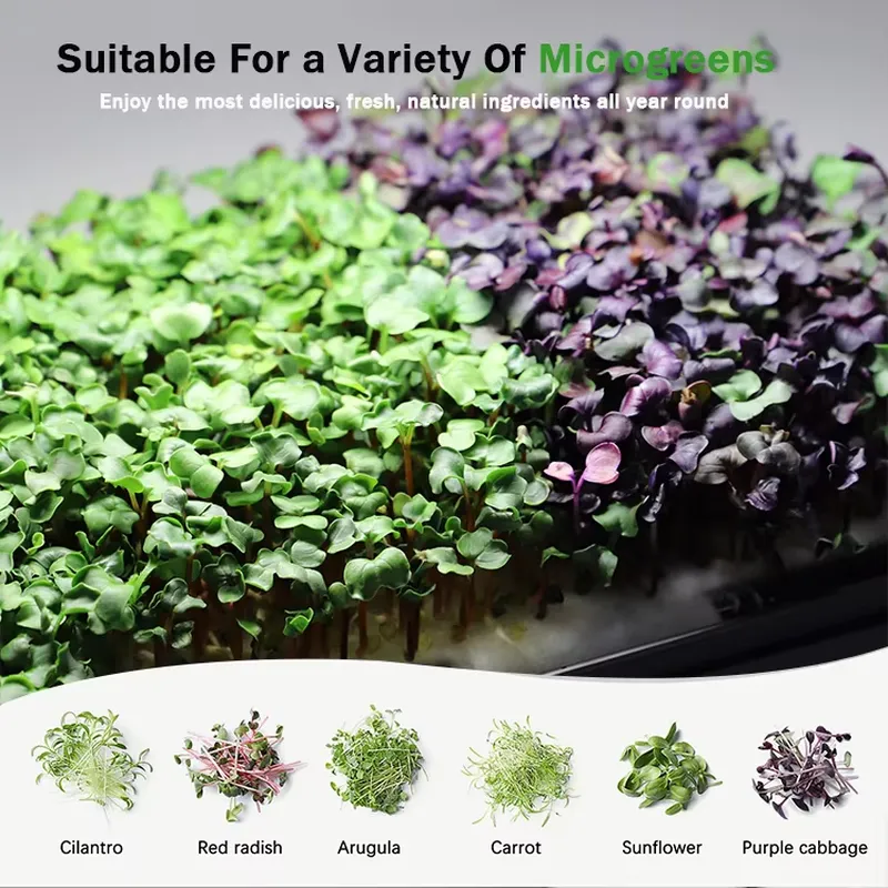 Ide Hadiah Natal: Kit Starter  - Smart Garden Ideas ulasan dan harga