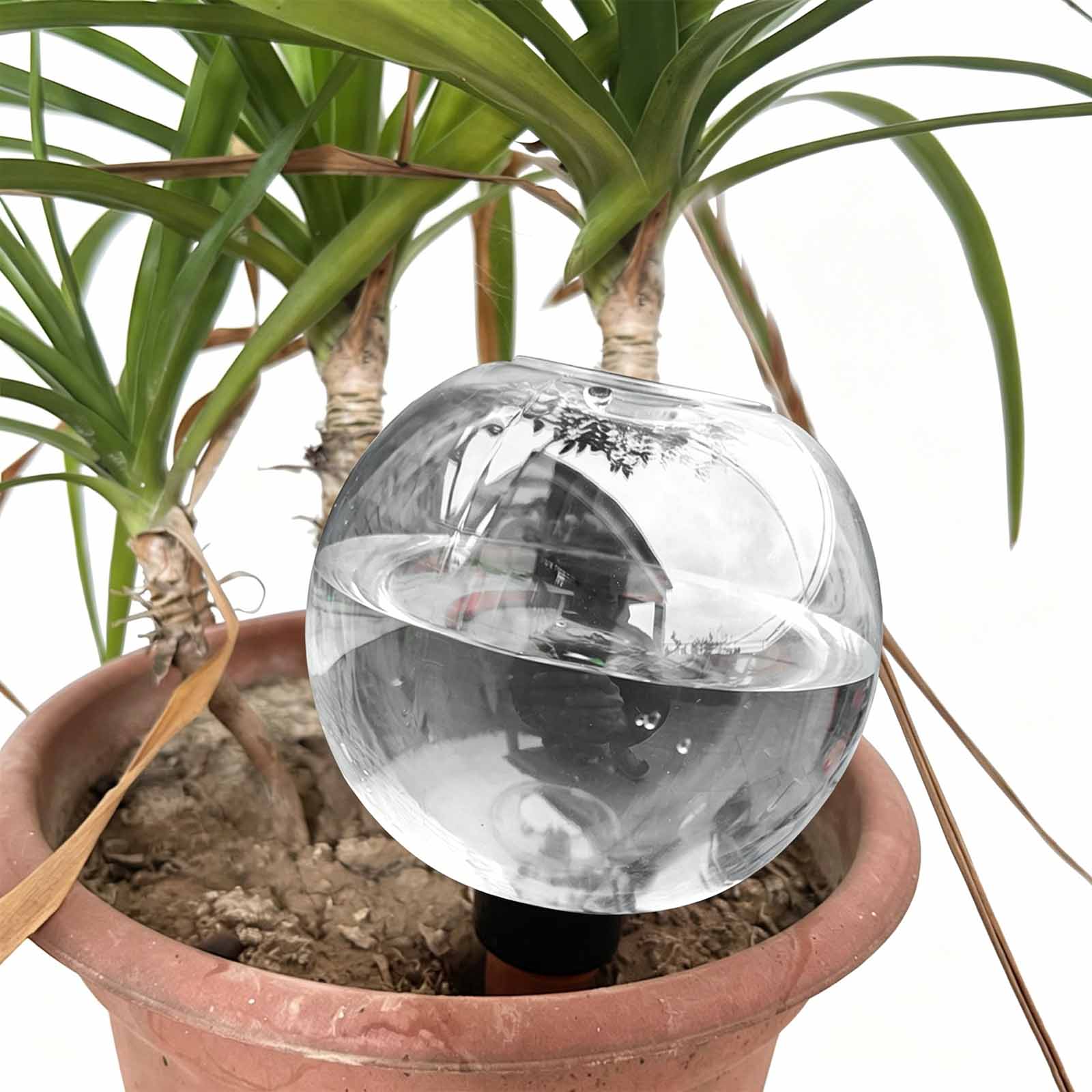 1/4 buah Bola Penyiraman Otoma - Plant Watering Globe ulasan dan harga