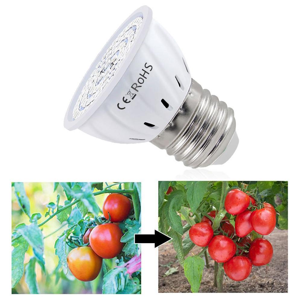 Bohlam LED Tumbuh Tanaman E27  - Plant Grow Light Full Spectrum ulasan dan harga