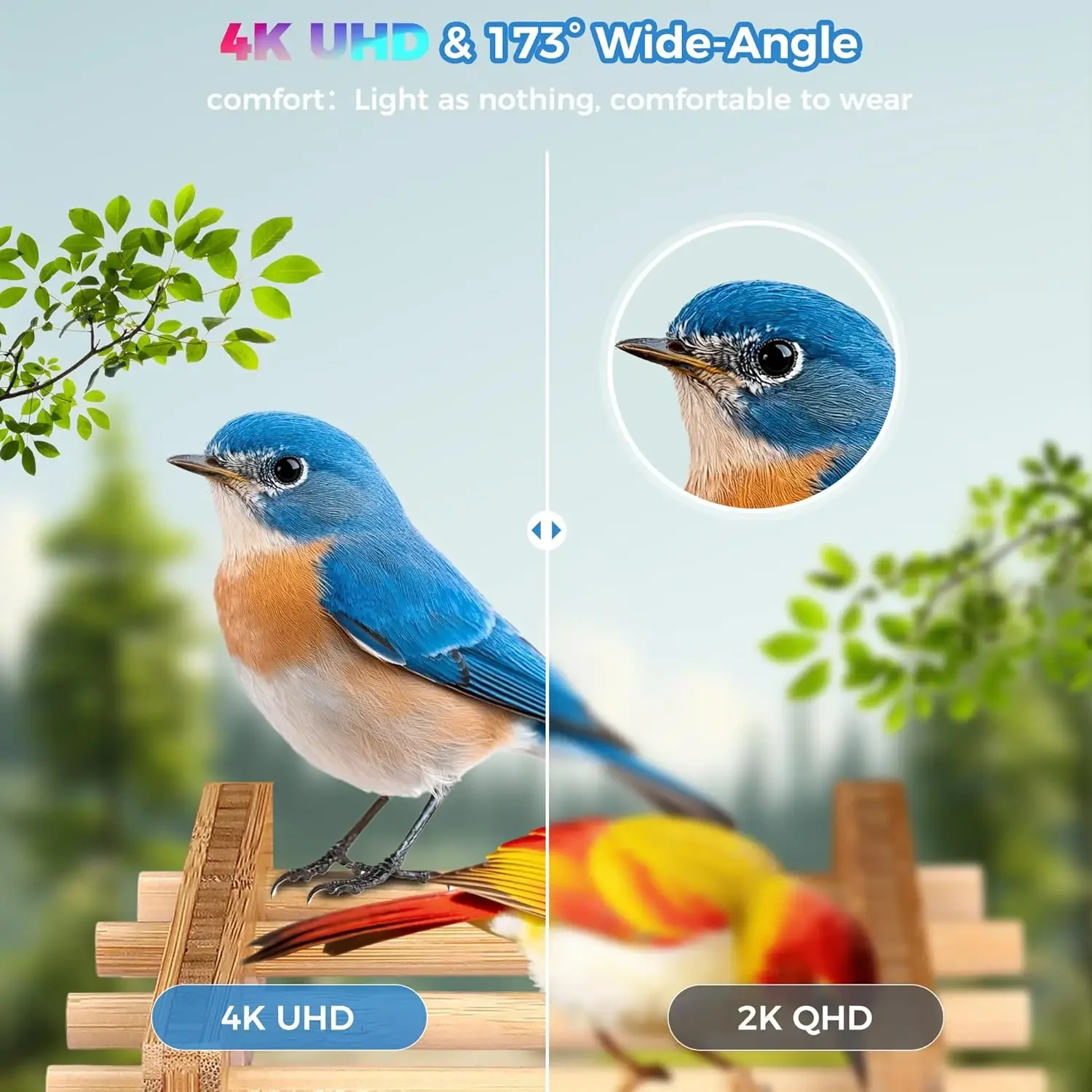 Pengumpan Burung Pintar dengan - Smart Garden Ai ulasan dan harga