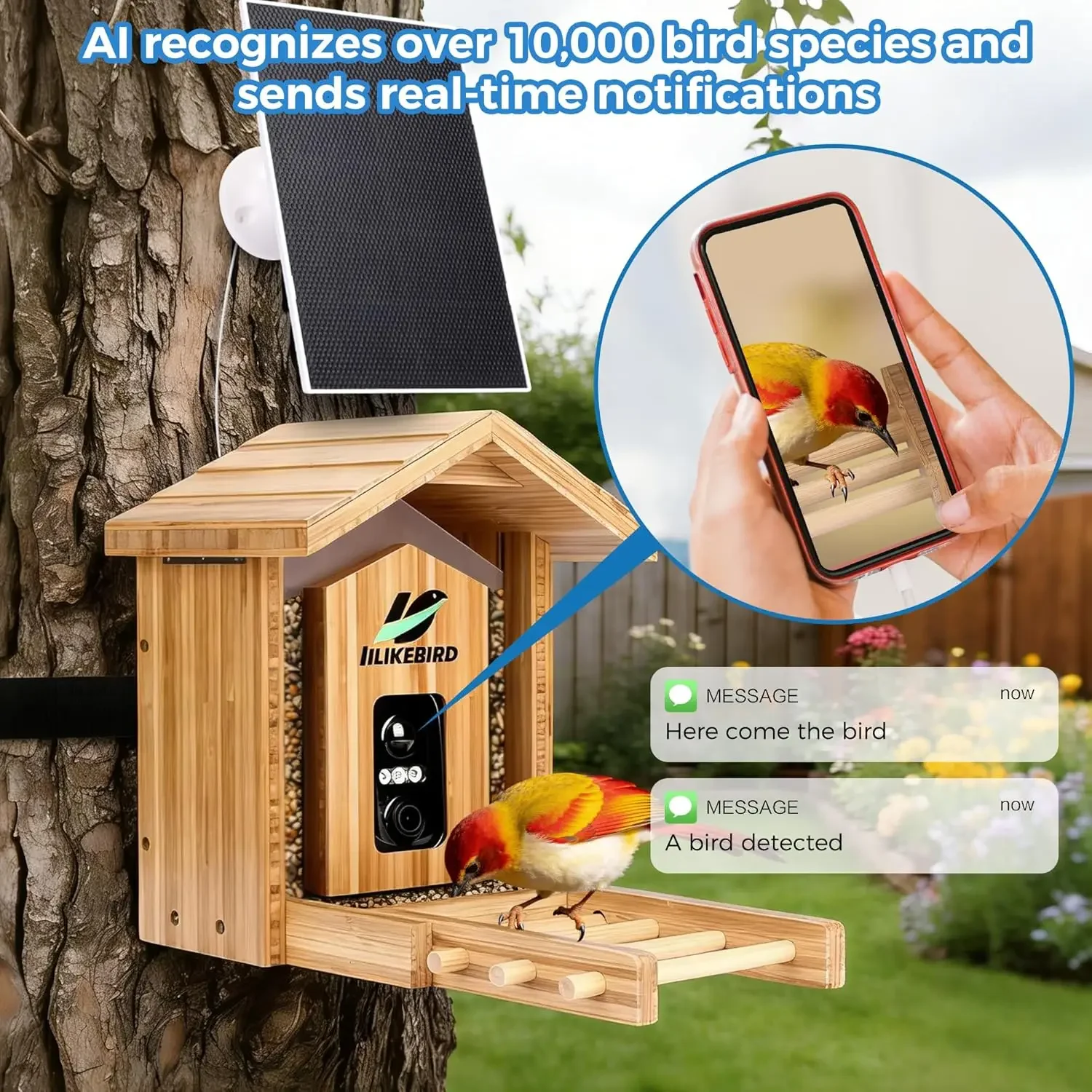 Pengumpan Burung Pintar dengan - Smart Garden Ai ulasan dan harga