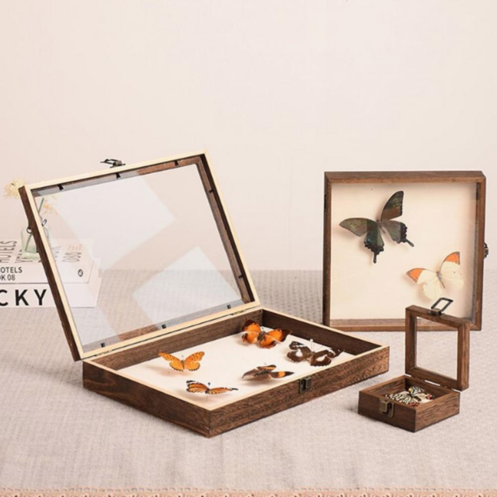 Casing Display kayu kupu-kupu  - Insect Hotel Wood ulasan dan harga