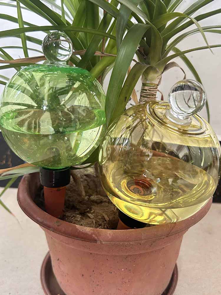 Bola Penyiram Otomatis 500ML,  - Plant Watering Globe ulasan dan harga
