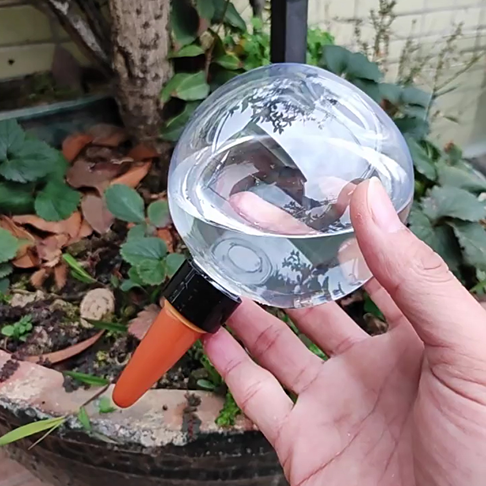 Sistem Irigasi Tetes Bola Peny - Plant Watering Globe ulasan dan harga