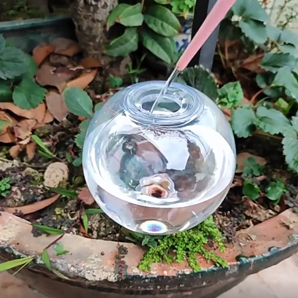 Sistem Irigasi Tetes Bola Peny - Plant Watering Globe ulasan dan harga