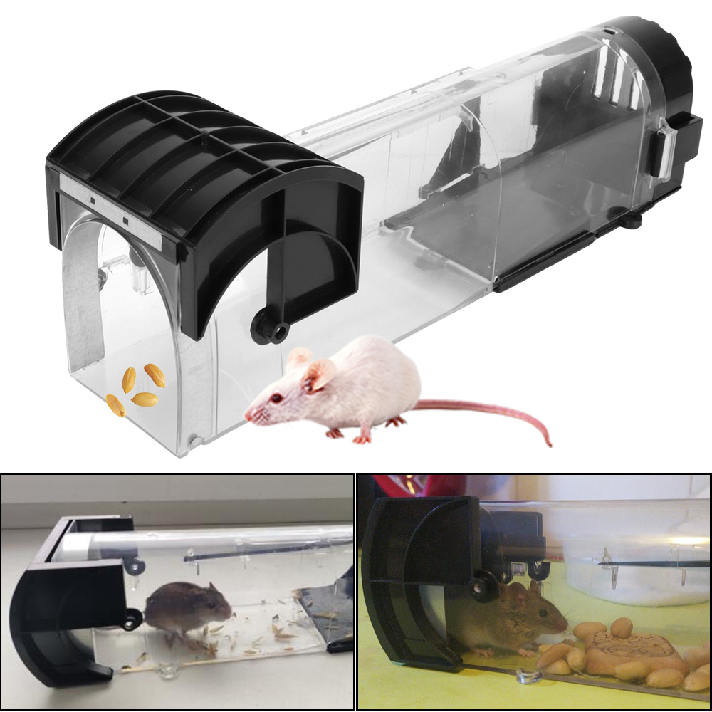 Perangkap Tikus Plastik yang A - Smart Garden Outdoor ulasan dan harga