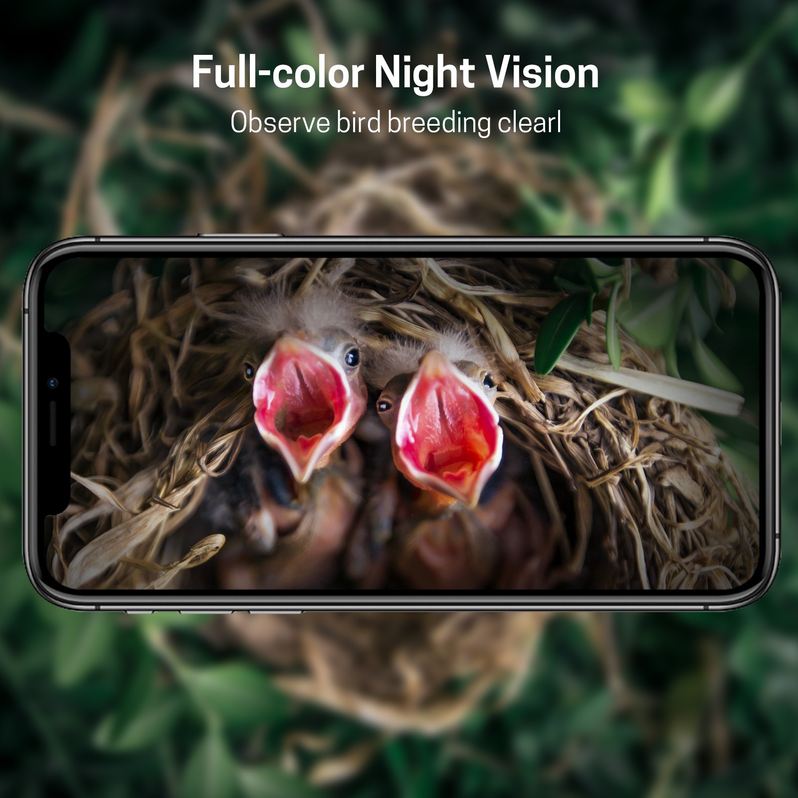 Sangkar Burung Kayu Nanxin Lar - Smart Garden Ai ulasan dan harga
