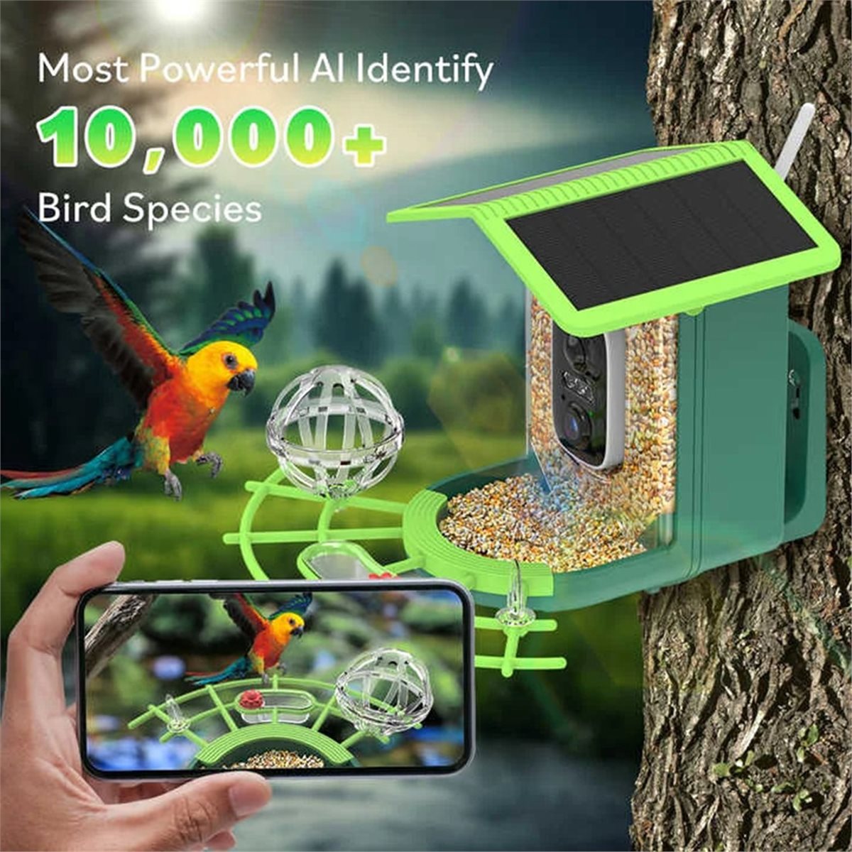 Kamera Pengumpan Burung Pintar - Smart Garden Ai ulasan dan harga