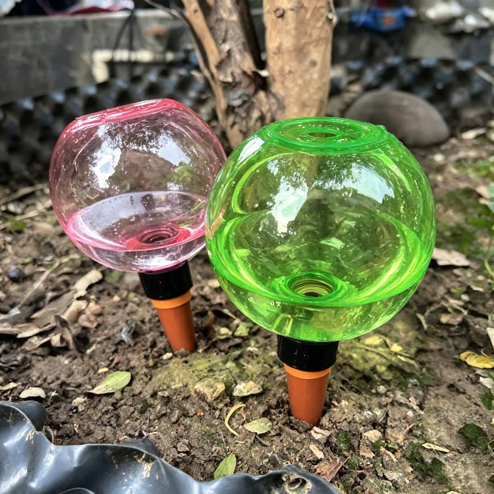 1/4 Buah Bola Penyiraman Otoma - Plant Watering Globe ulasan dan harga