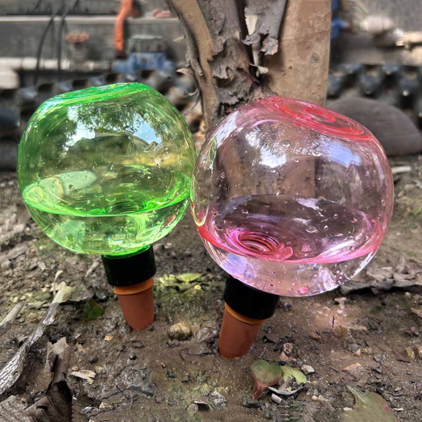 1/4 Buah Bola Penyiraman Otoma - Plant Watering Globe ulasan dan harga