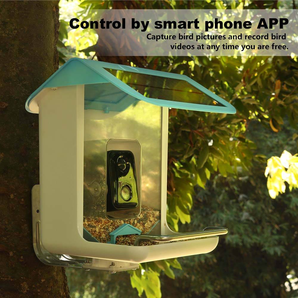 Pengumpan Burung Pintar dengan - Smart Garden Ai ulasan dan harga