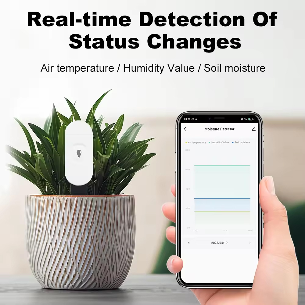 Tuya Zigbee Detektor Kelembapa - Smart Garden Monitor ulasan dan harga