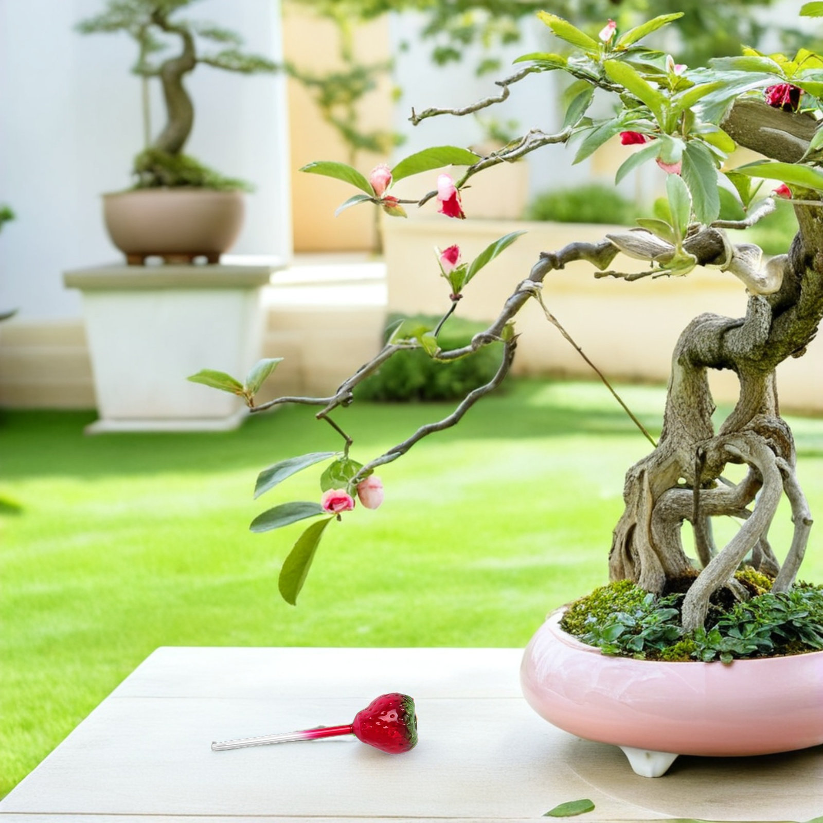 2 Buah Bola Penyiraman Otomati - Plant Watering Globe ulasan dan harga