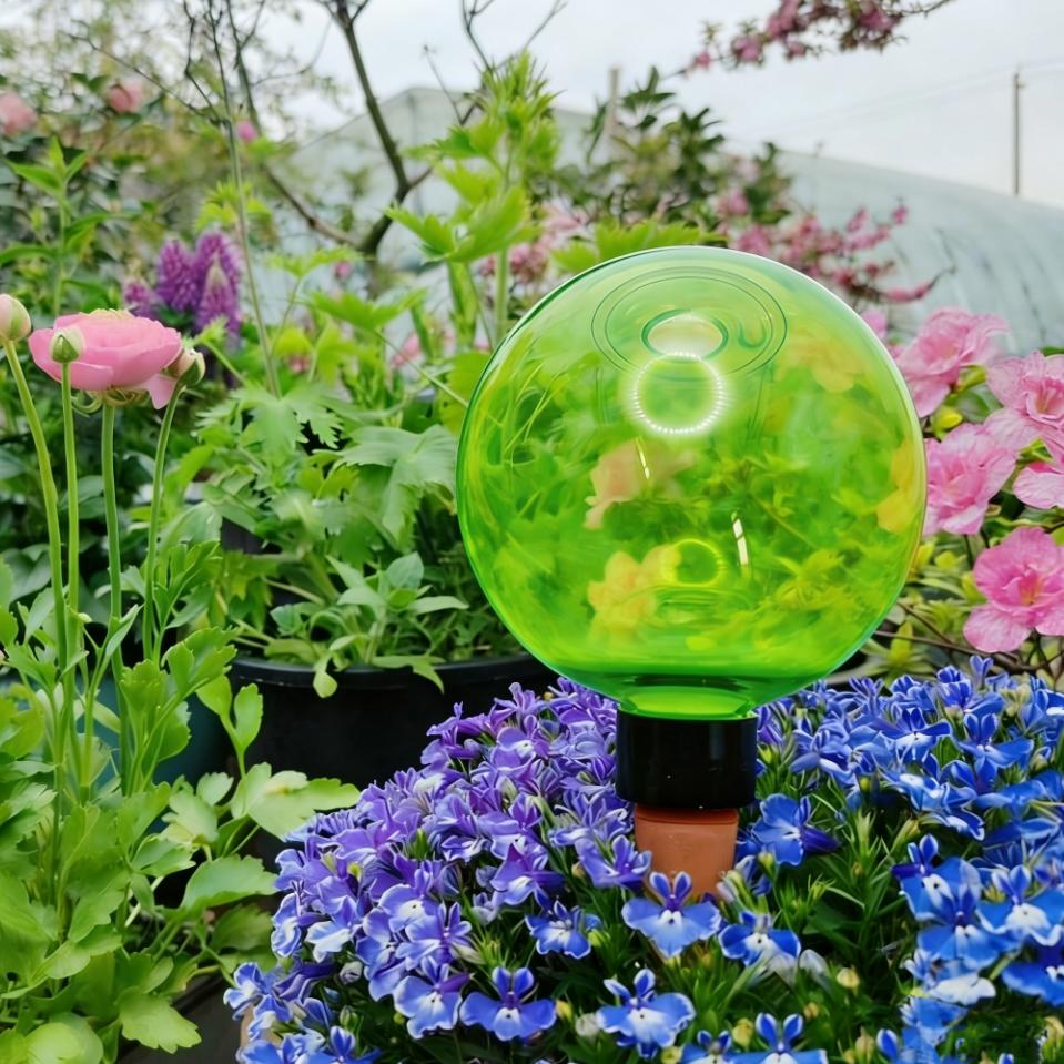 3pcs Bola Penyiram Tanaman Bes - Plant Watering Globe ulasan dan harga