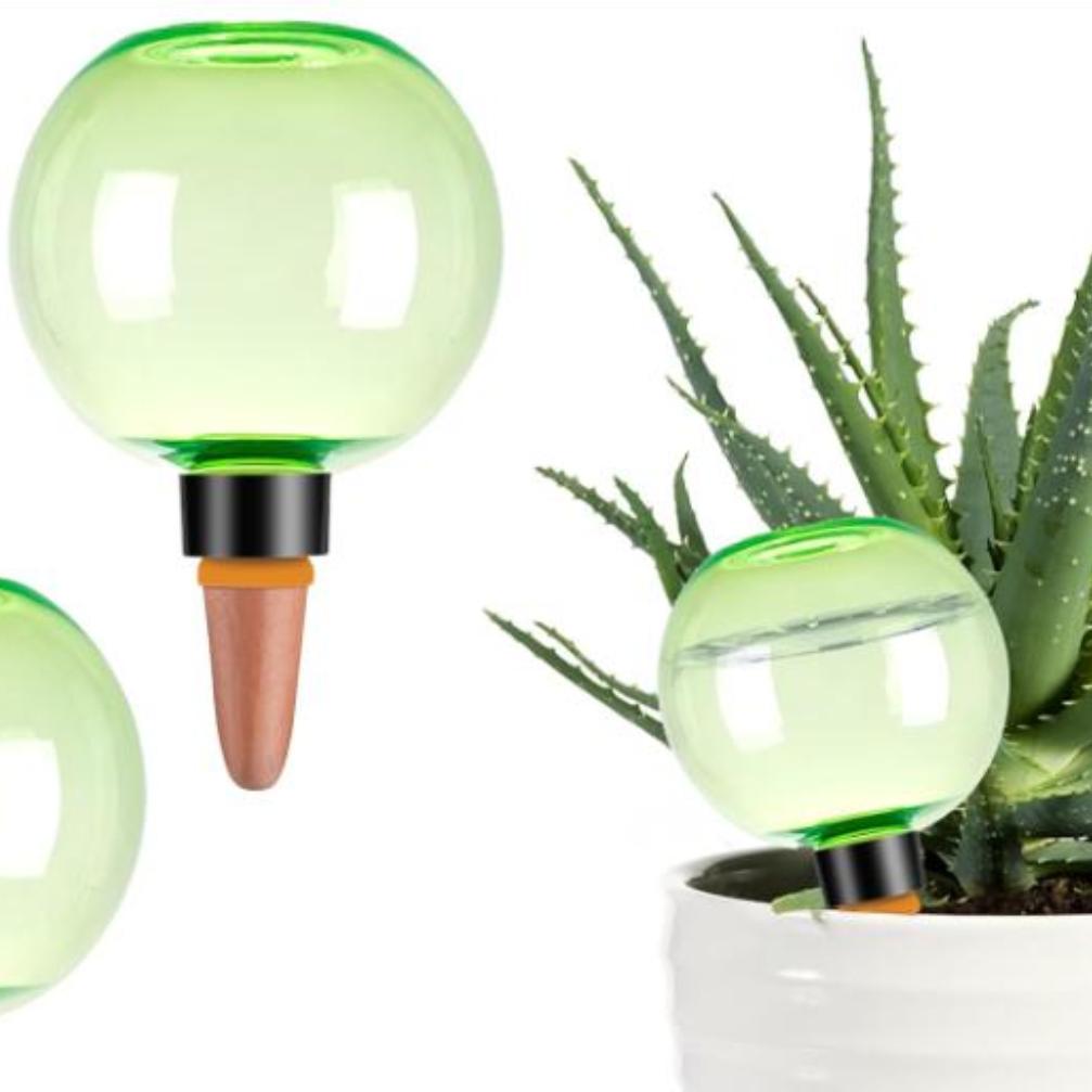 3pcs Bola Penyiram Tanaman Bes - Plant Watering Globe ulasan dan harga