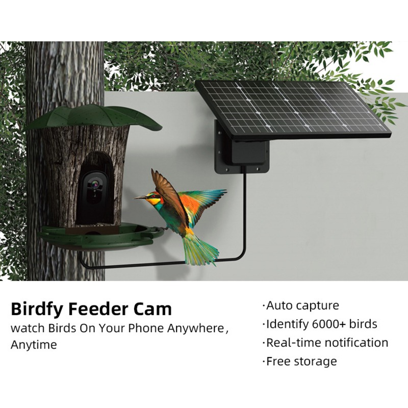 Pengumpan Burung Pintar Tenaga - Smart Garden Ai ulasan dan harga