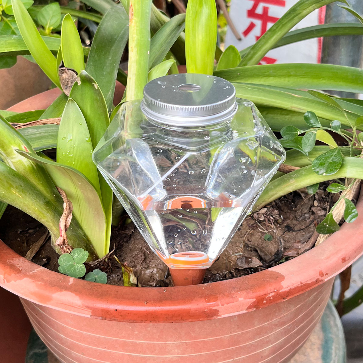 1 Buah Mesin Penyiram Plastik  - Plant Watering Globe ulasan dan harga