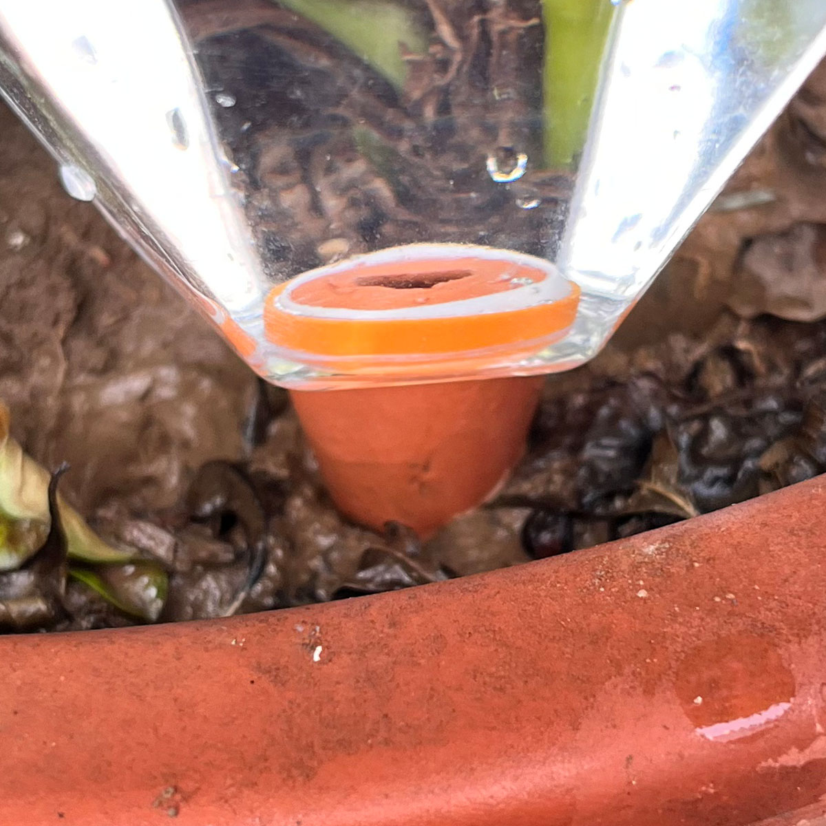 1 Buah Mesin Penyiram Plastik  - Plant Watering Globe ulasan dan harga