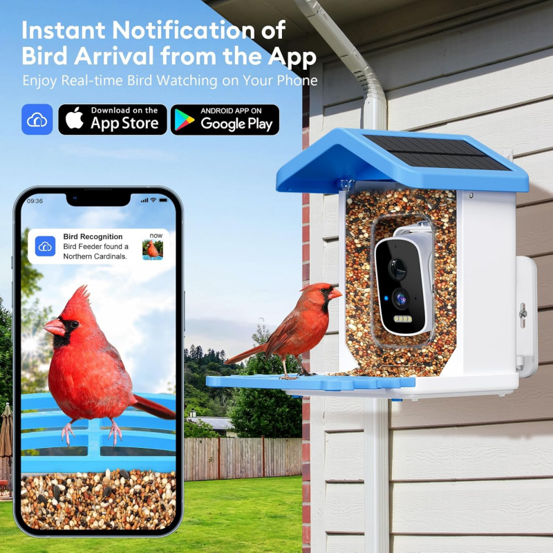 Pengumpan Burung Pintar WiFi d - Smart Garden Outdoor ulasan dan harga