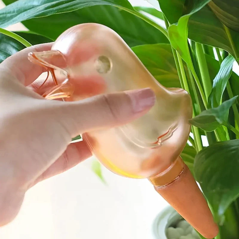 Kualitas tinggi otomatis penyi - Plant Watering Globe ulasan dan harga