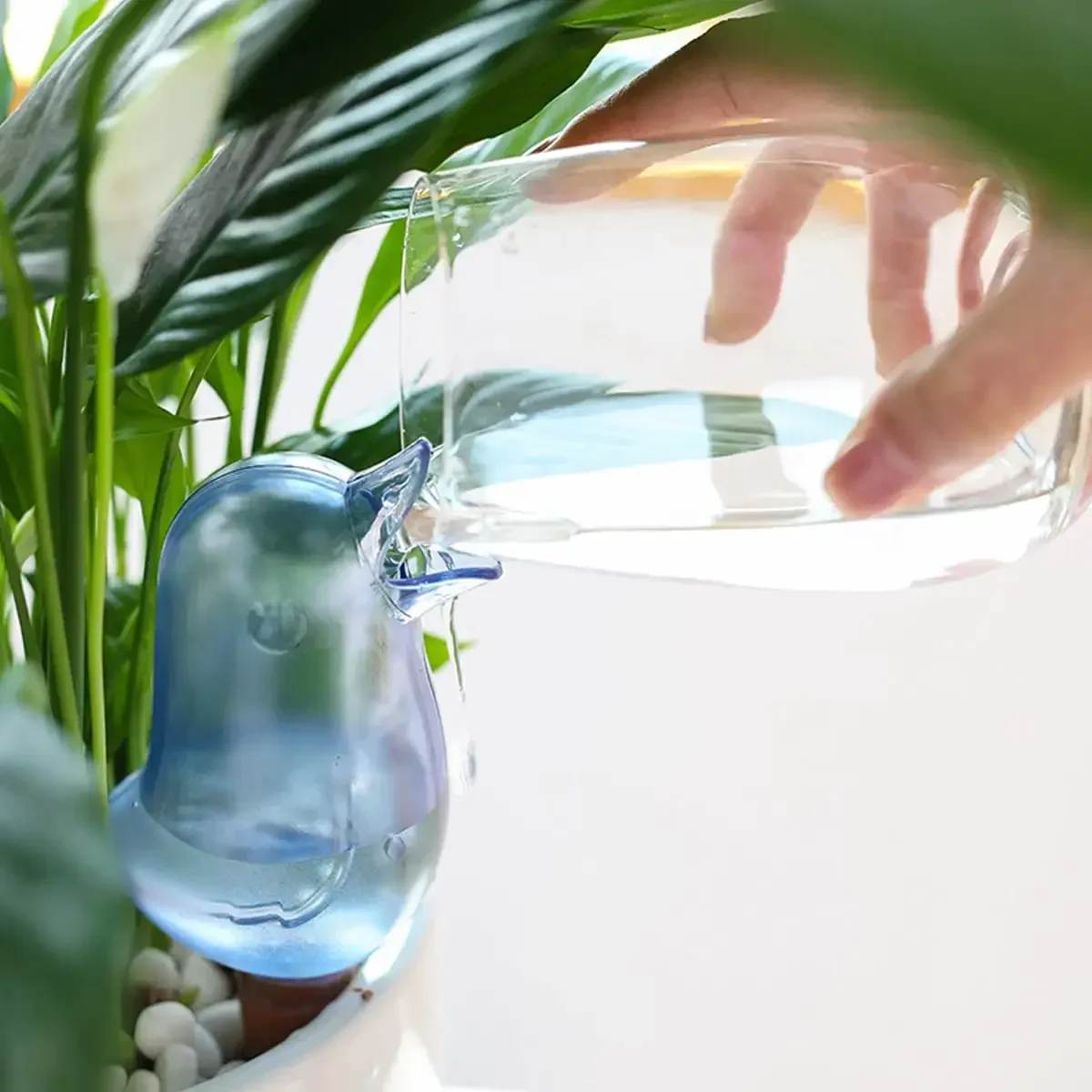 Kualitas tinggi otomatis penyi - Plant Watering Globe ulasan dan harga