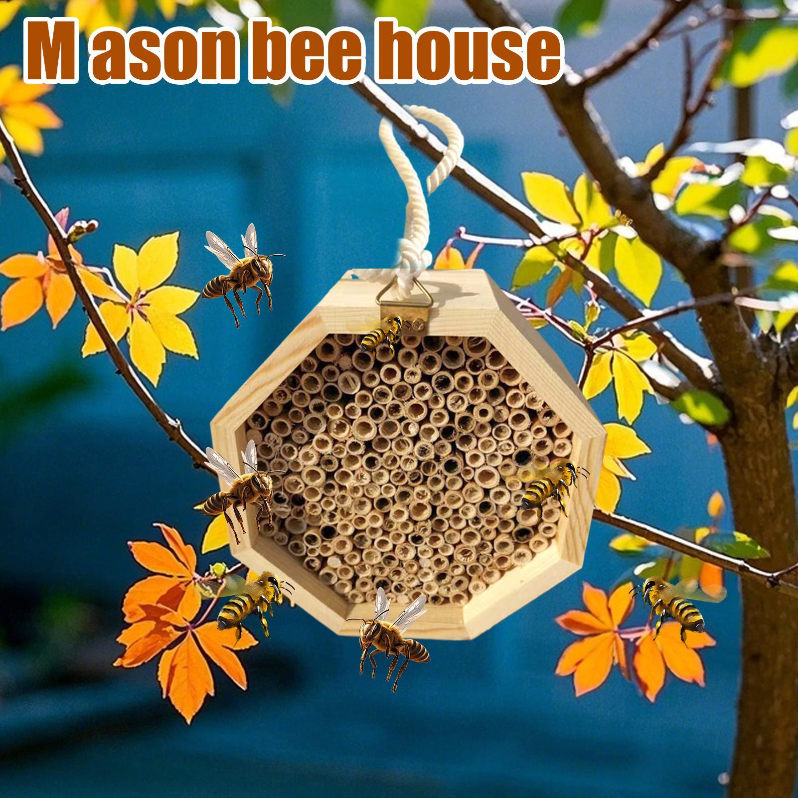 Rumah Serangga Kayu, Hotel Ser - Insect Hotel Wood ulasan dan harga