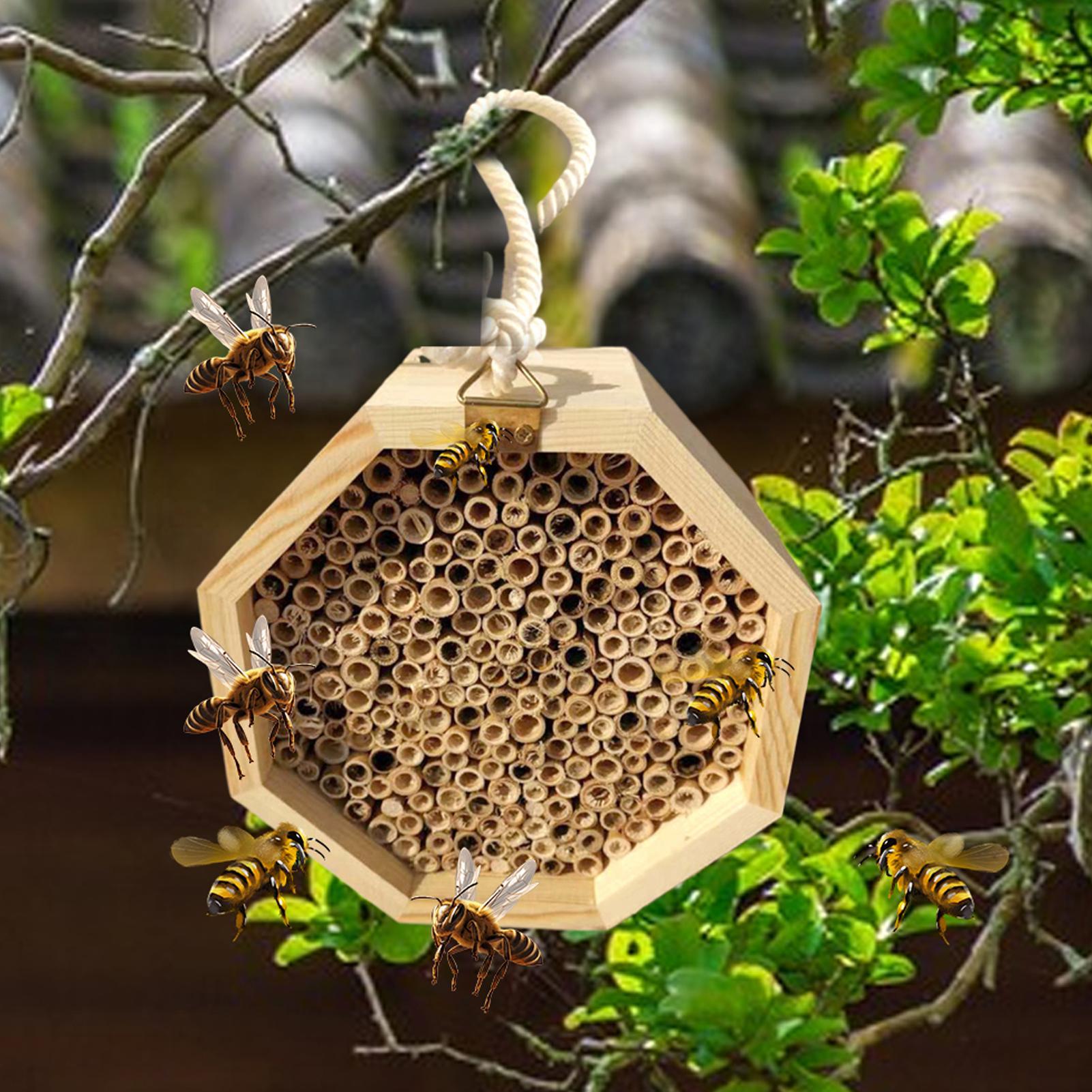 Rumah Serangga Kayu, Hotel Ser - Insect Hotel Wood ulasan dan harga