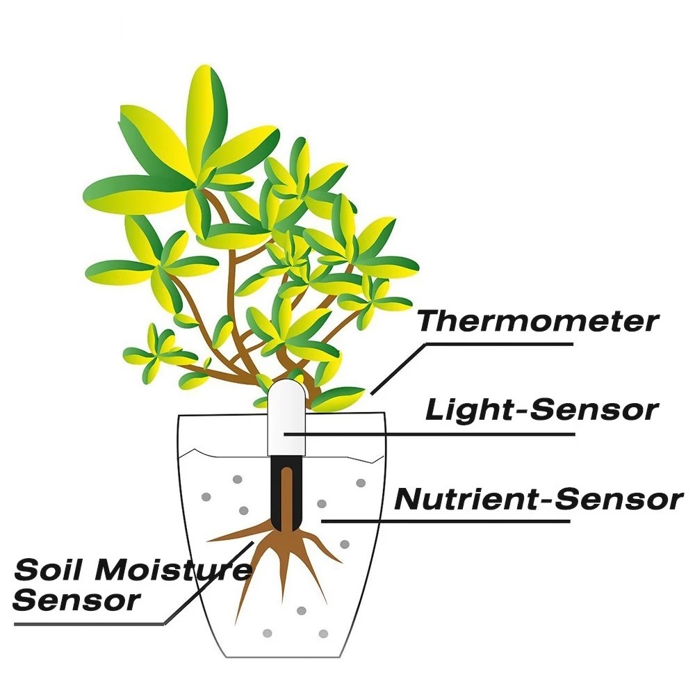 HHCC Monitor bunga detektor be - Smart Garden Monitor ulasan dan harga