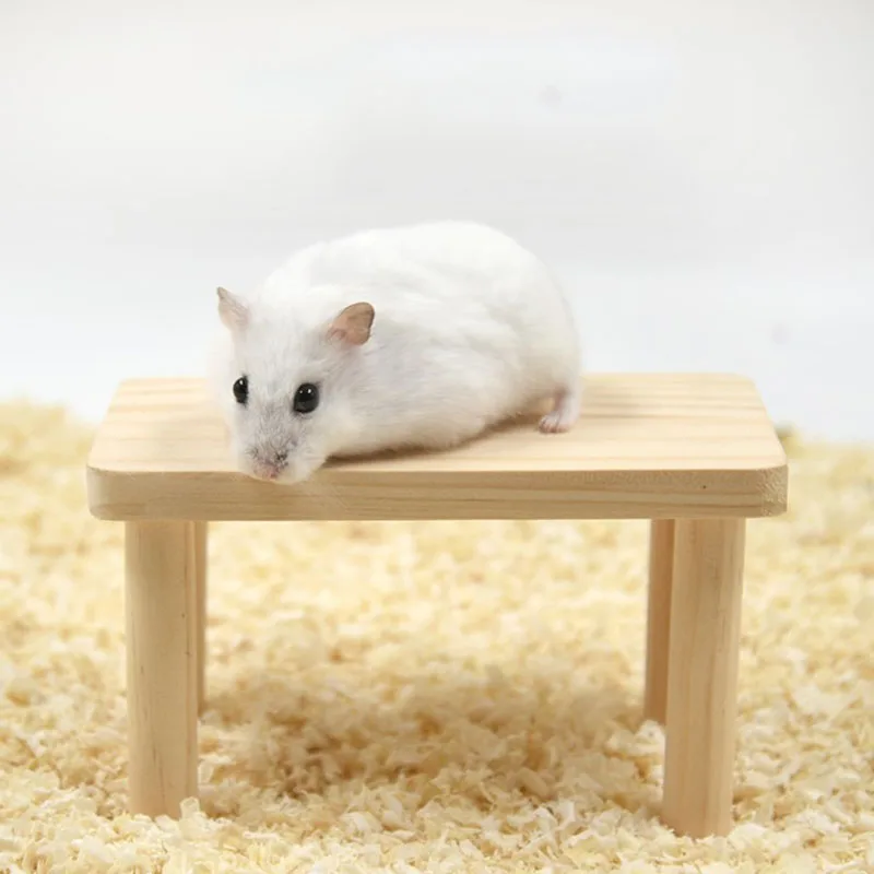 1pc Rumah Hamster Kayu Fungsio - Insect Hotel Wood ulasan dan harga
