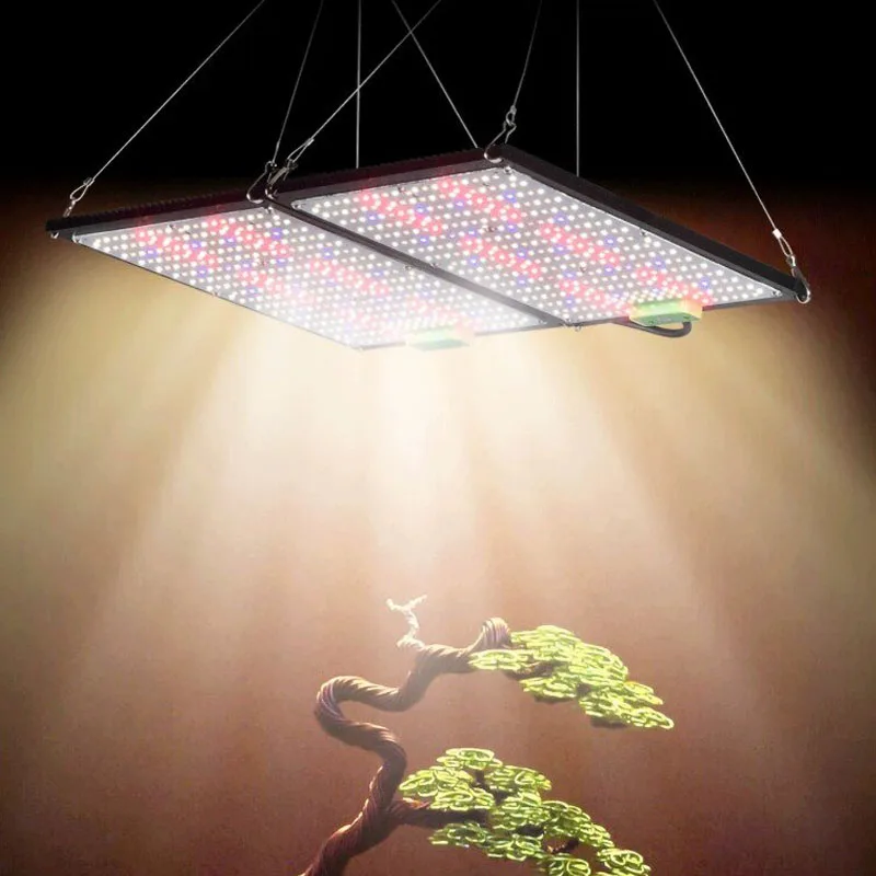Lampu LED Quantum-Board untuk  - Plant Grow Light Full Spectrum ulasan dan harga