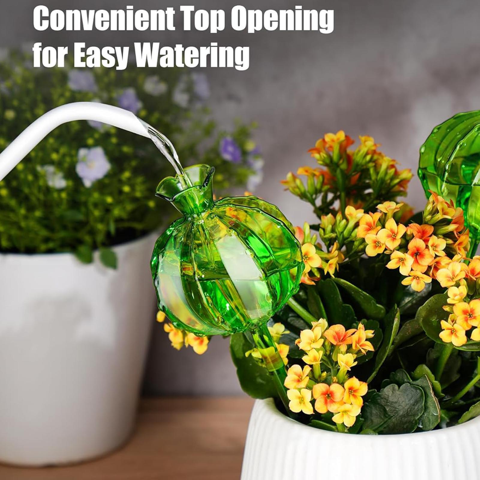 Globe Penyiram Tanaman 3 Buah, - Plant Watering Globe ulasan dan harga